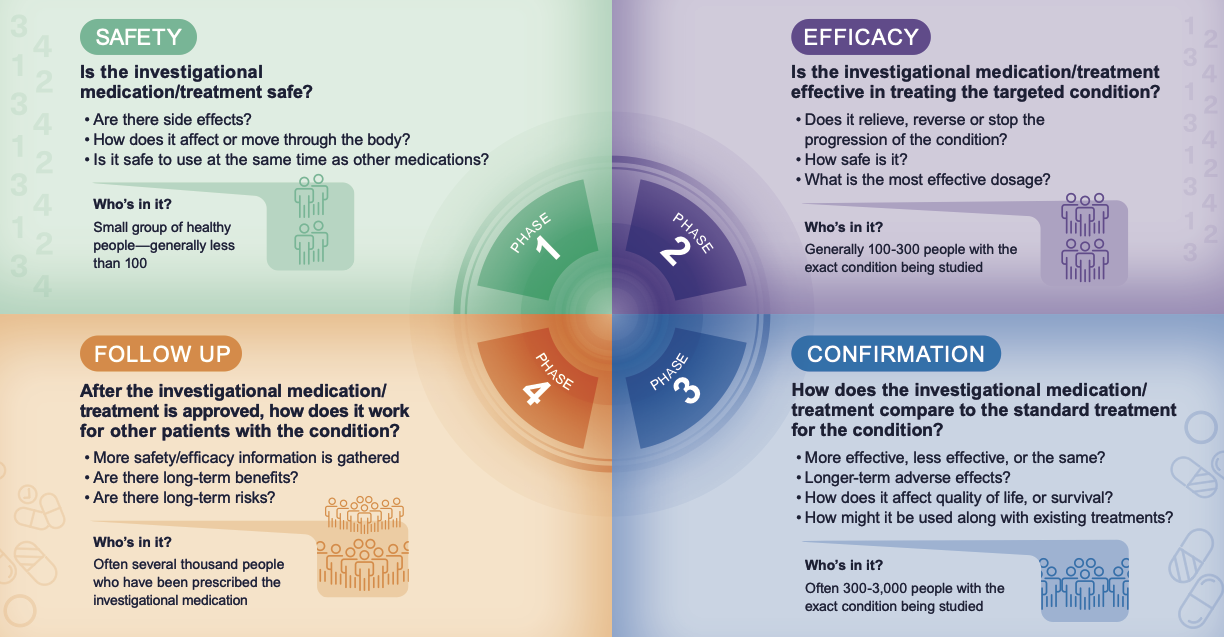 WhatAreTheClinicalTrialPhases_Infographic_1_16NOV2021.png
